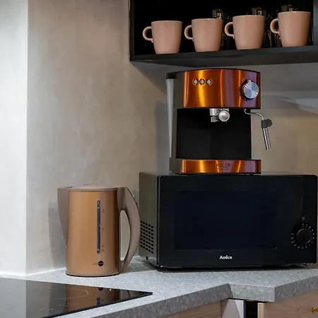 Kamienica Centrum Nr 3 アパート